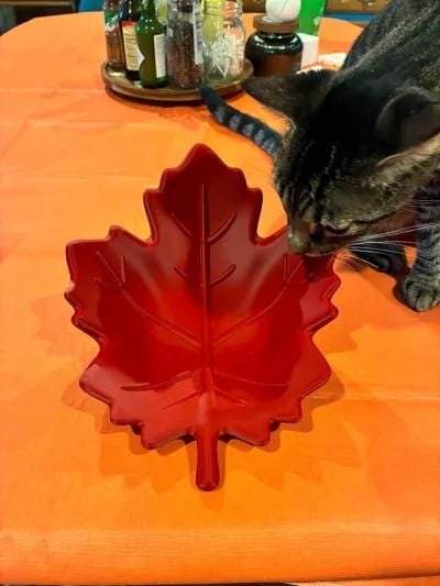 Maple Leaf Bowl