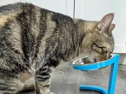 Raised Cat Food Bowl Stand - 6 Inch Pet Feeder
