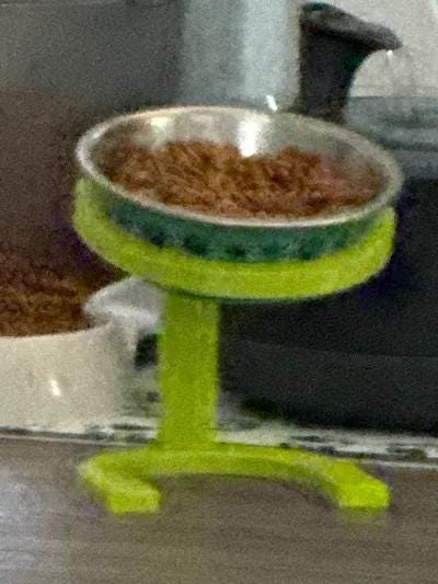 Raised Cat Food Bowl Stand - 6 Inch Pet Feeder