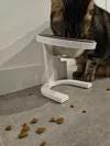 Raised Cat Food Bowl Stand - 6 Inch Pet Feeder