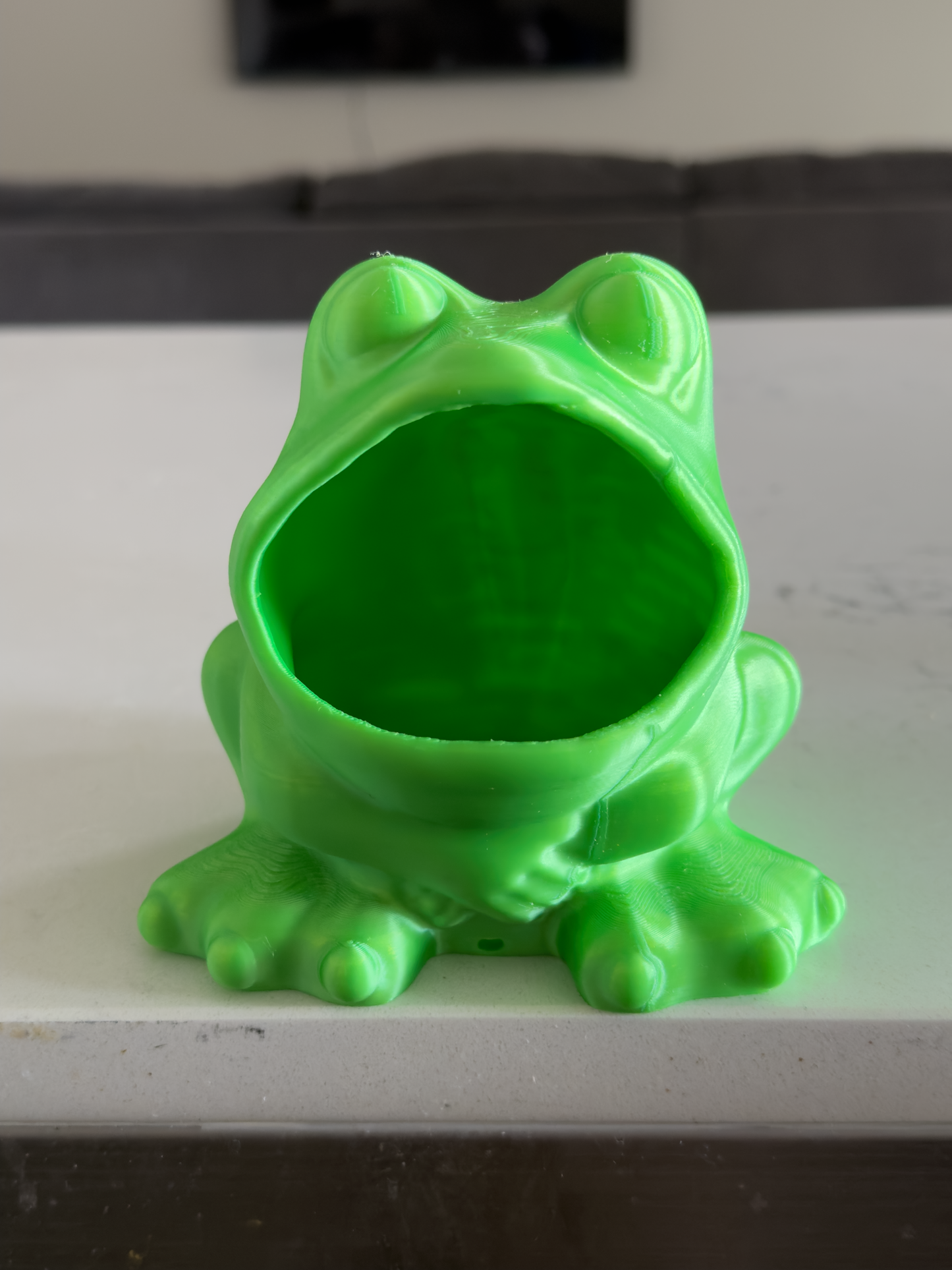 Frog Sponge Holder - Draining Sponge Dish