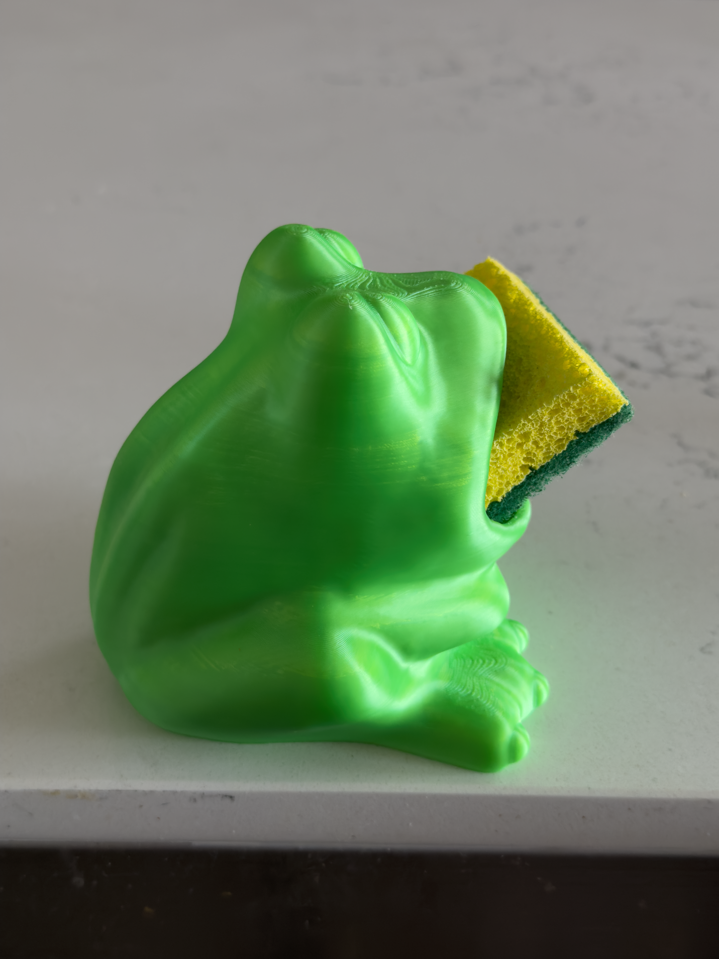 Frog Sponge Holder - Draining Sponge Dish