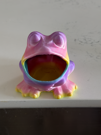 Frog Sponge Holder - Draining Sponge Dish