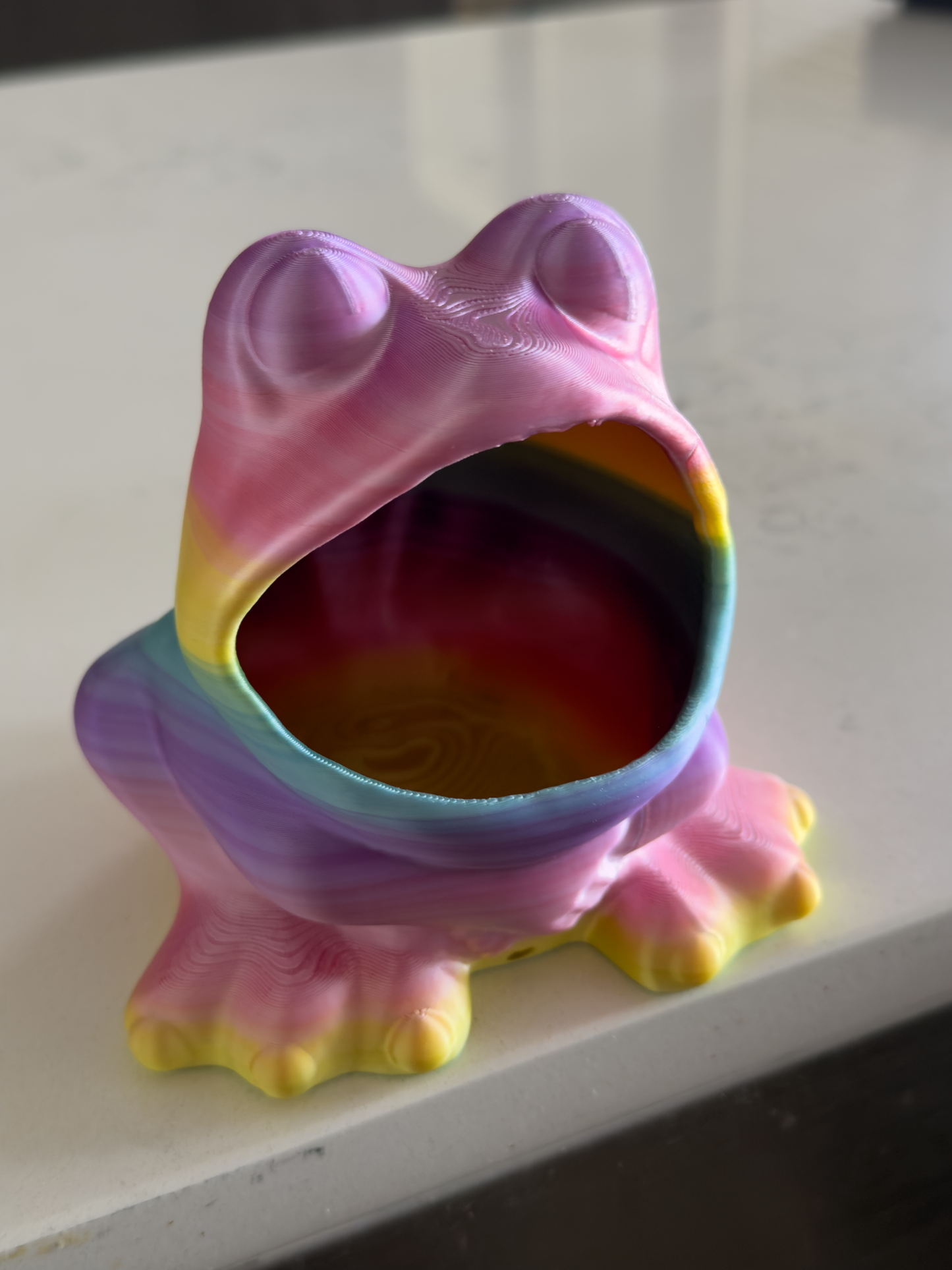 Frog Sponge Holder - Draining Sponge Dish
