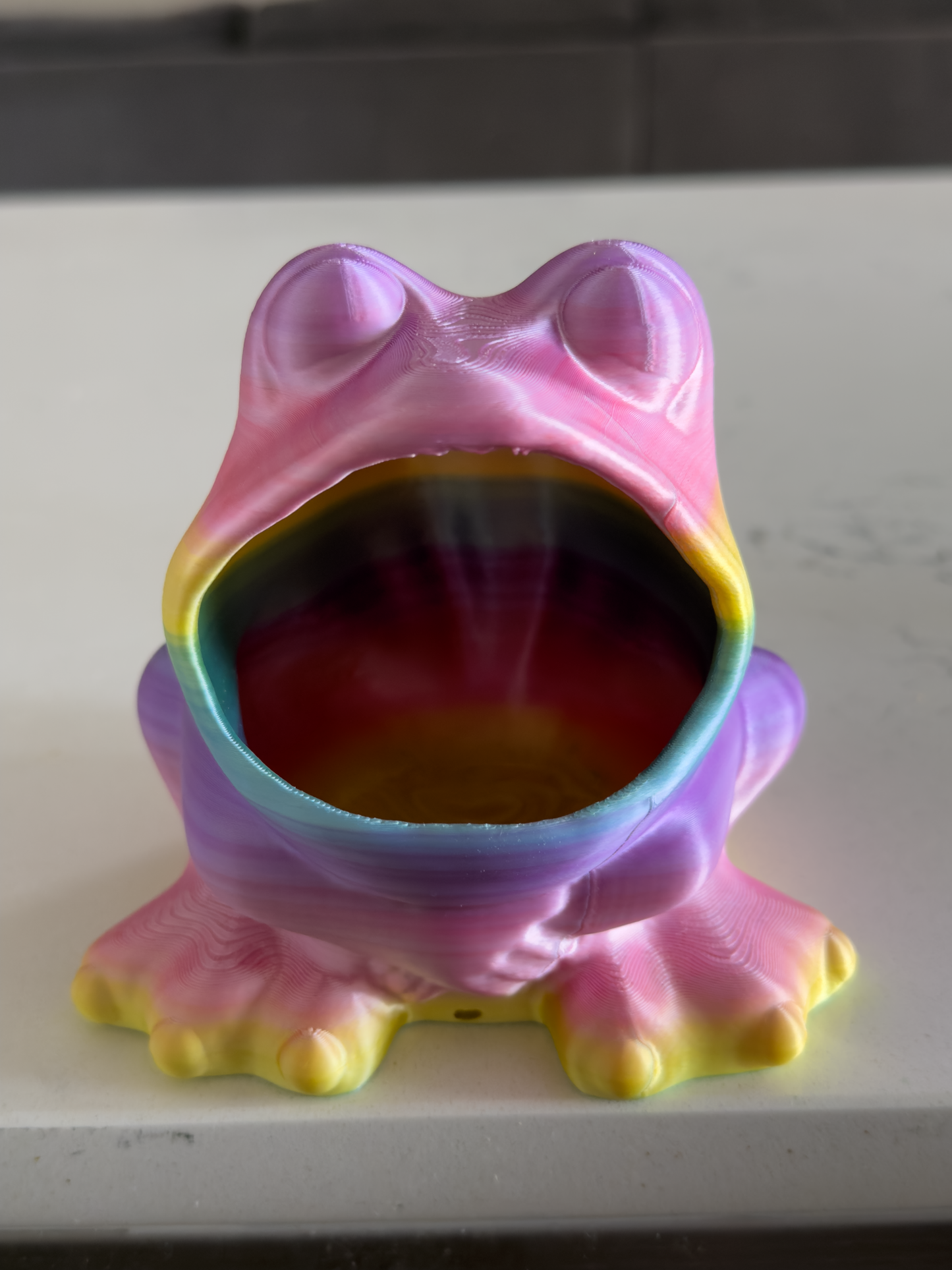 Frog Sponge Holder - Draining Sponge Dish