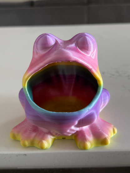 Frog Sponge Holder - Draining Sponge Dish