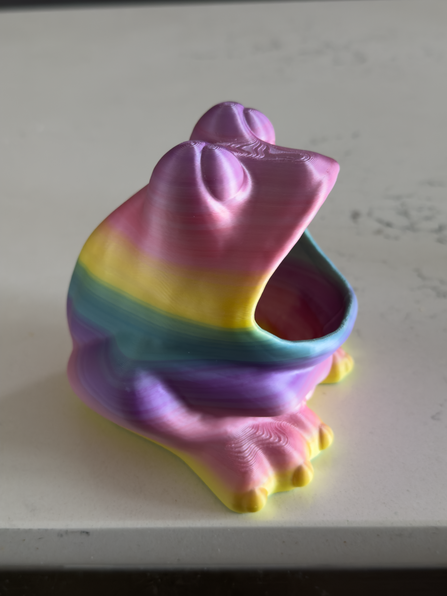 Frog Sponge Holder - Draining Sponge Dish