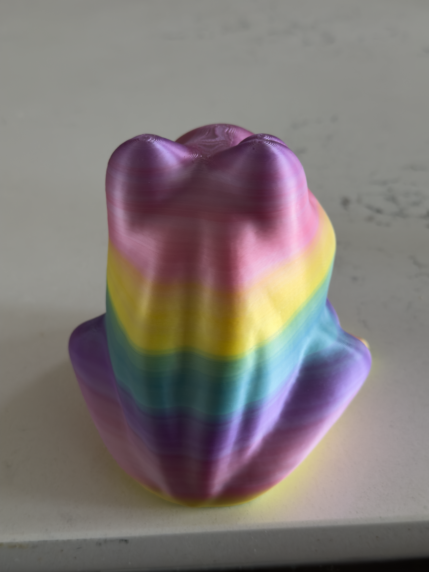 Frog Sponge Holder - Draining Sponge Dish