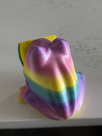 Frog Sponge Holder - Draining Sponge Dish
