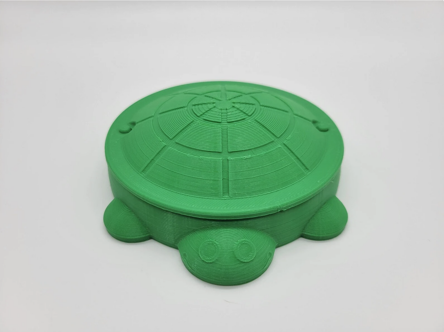 Sandbox Turtle with Removable Lid