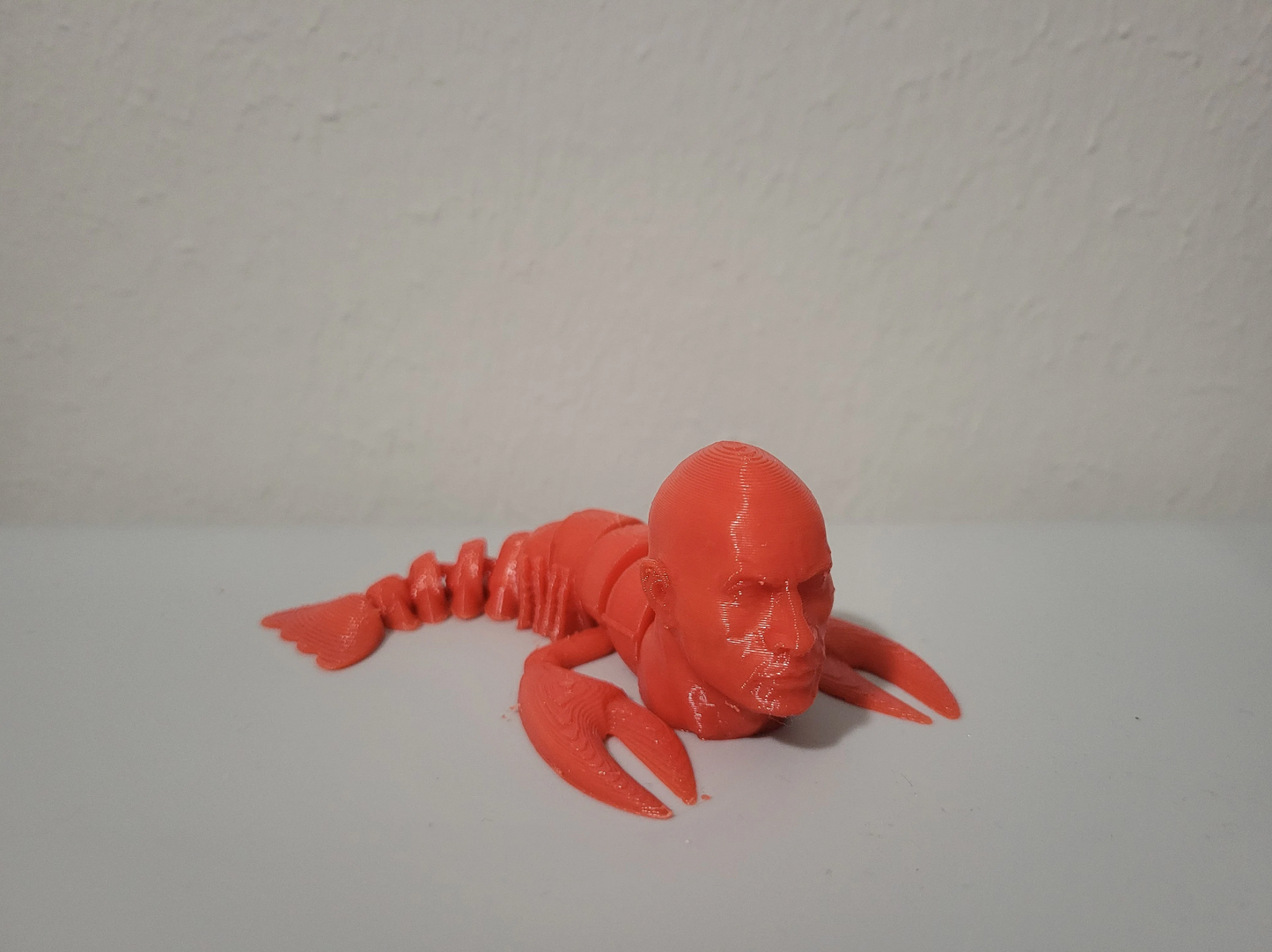 The Rock Lobster Fidget