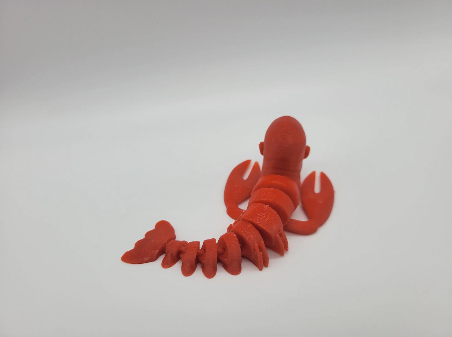 The Rock Lobster Fidget