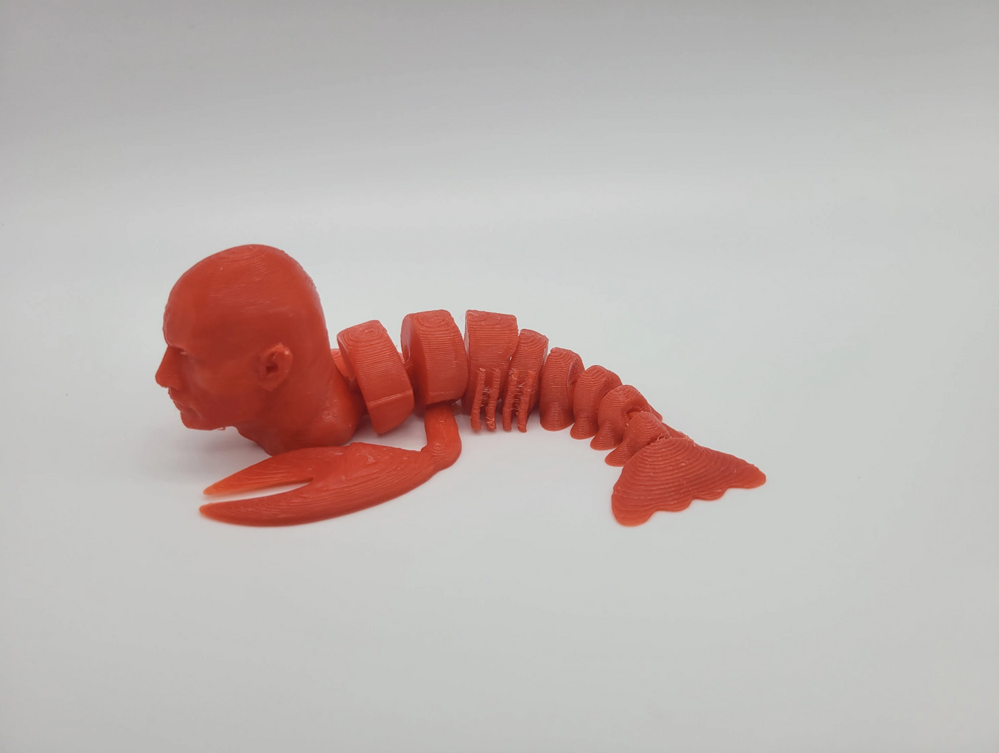 The Rock Lobster Fidget