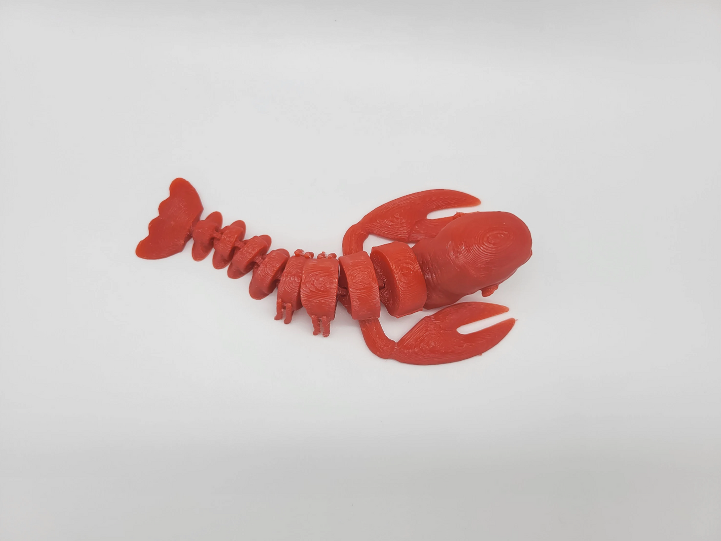 The Rock Lobster Fidget