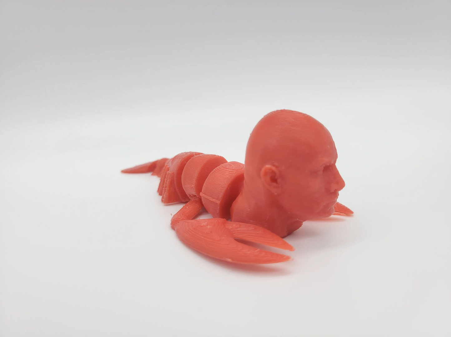 The Rock Lobster Fidget