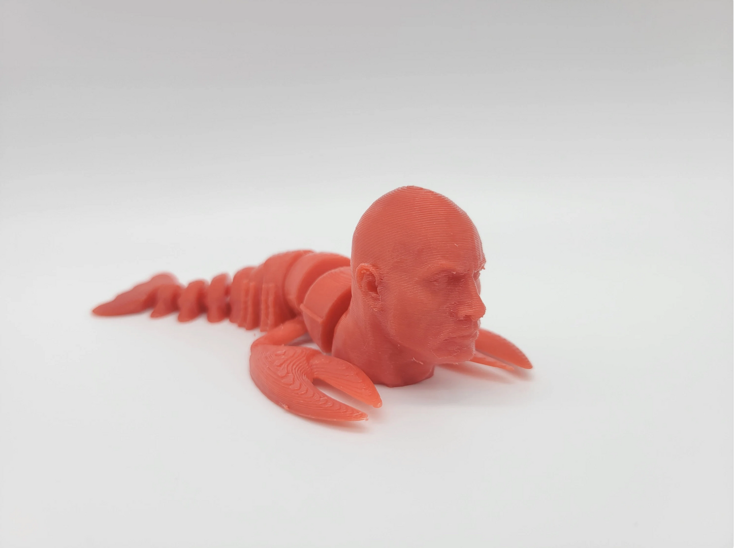 The Rock Lobster Fidget