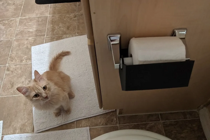 Angled Toilet Paper Guard | Pet Toddler Proof TP Saver