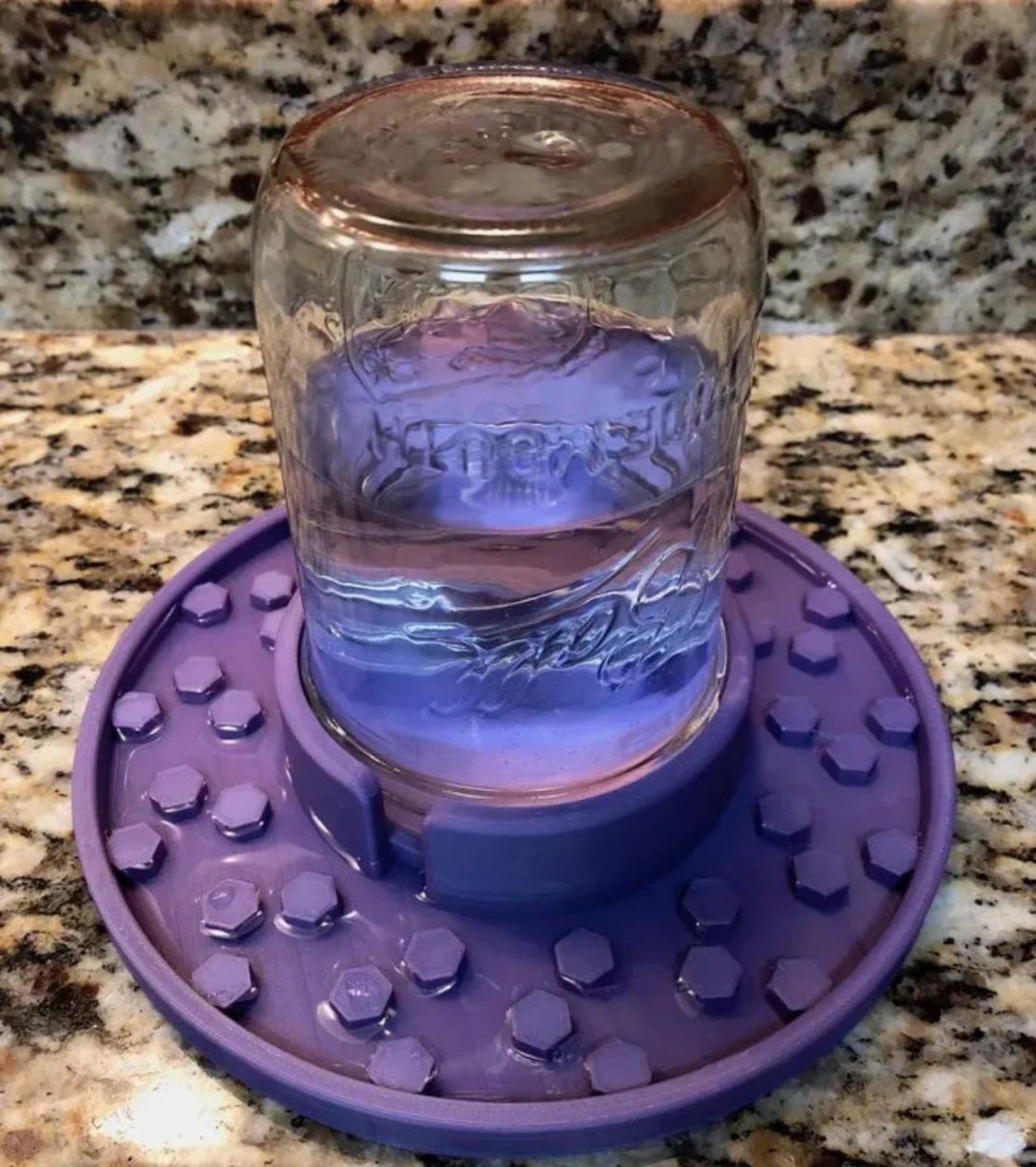 Bee Feeder for Wide Mouth Mason Jars | Bee Insect Waterer