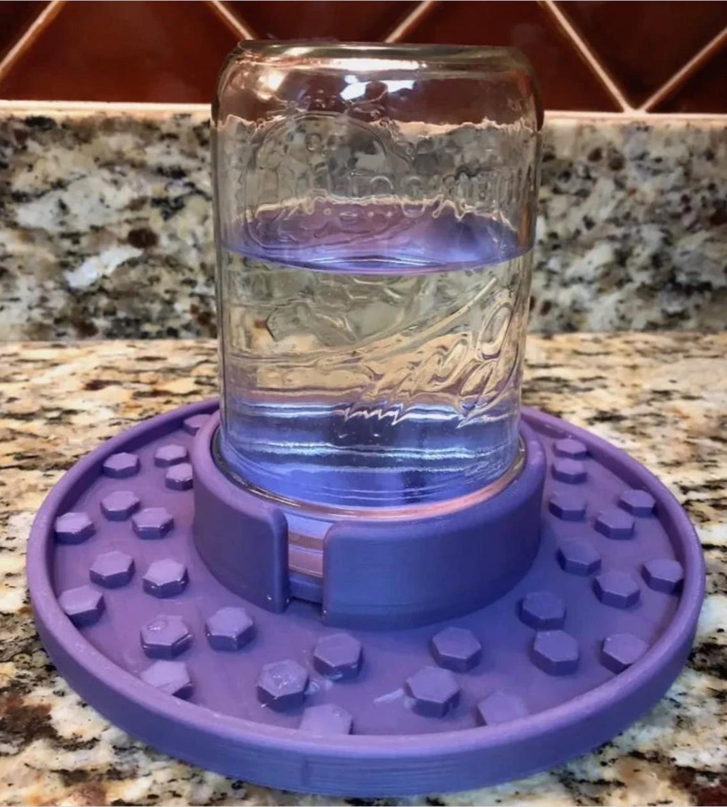 Bee Feeder for Wide Mouth Mason Jars | Bee Insect Waterer