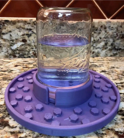 Bee Feeder for Wide Mouth Mason Jars | Bee Insect Waterer