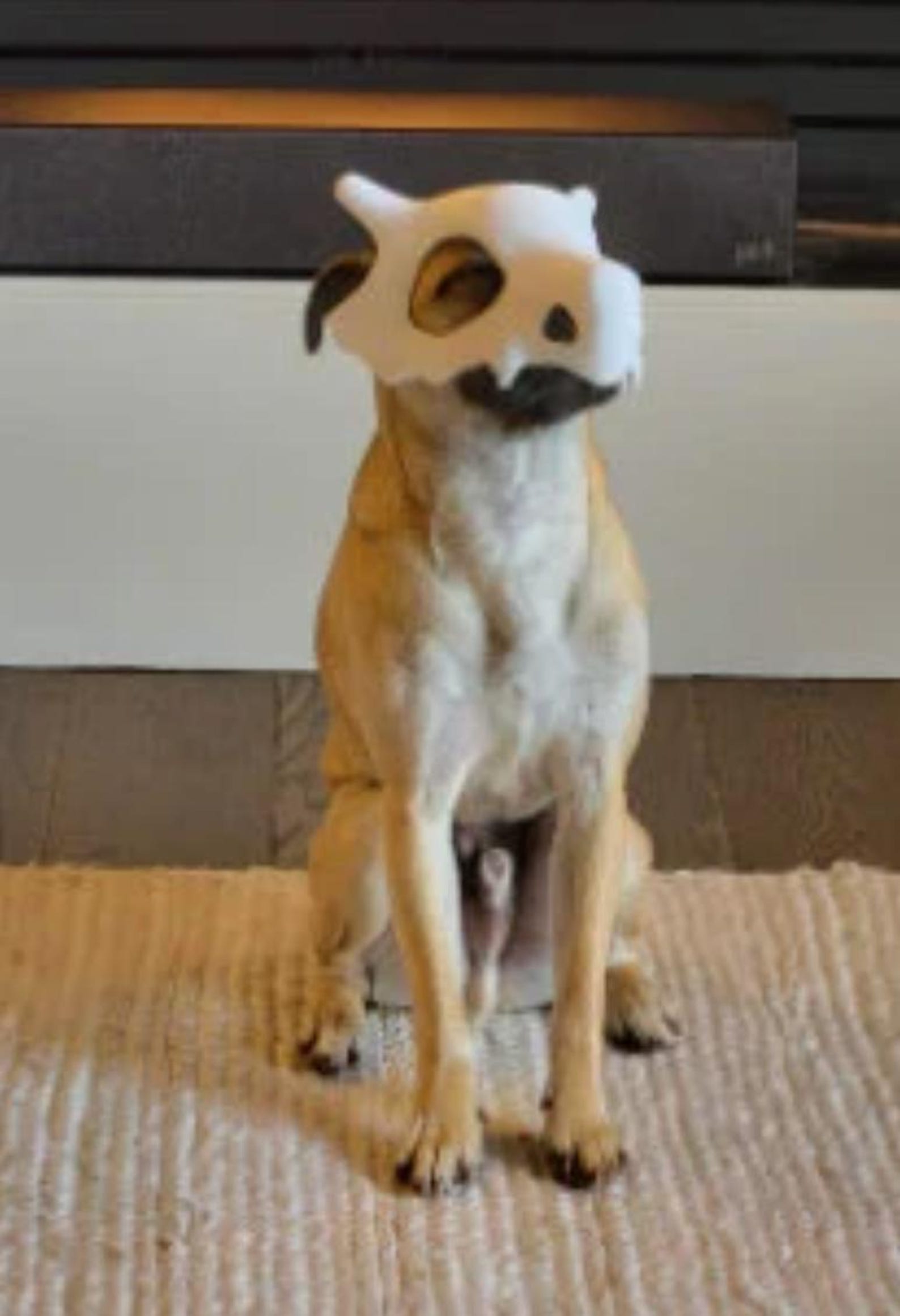 Cubone Dog Mask | Dinosaur Mask
