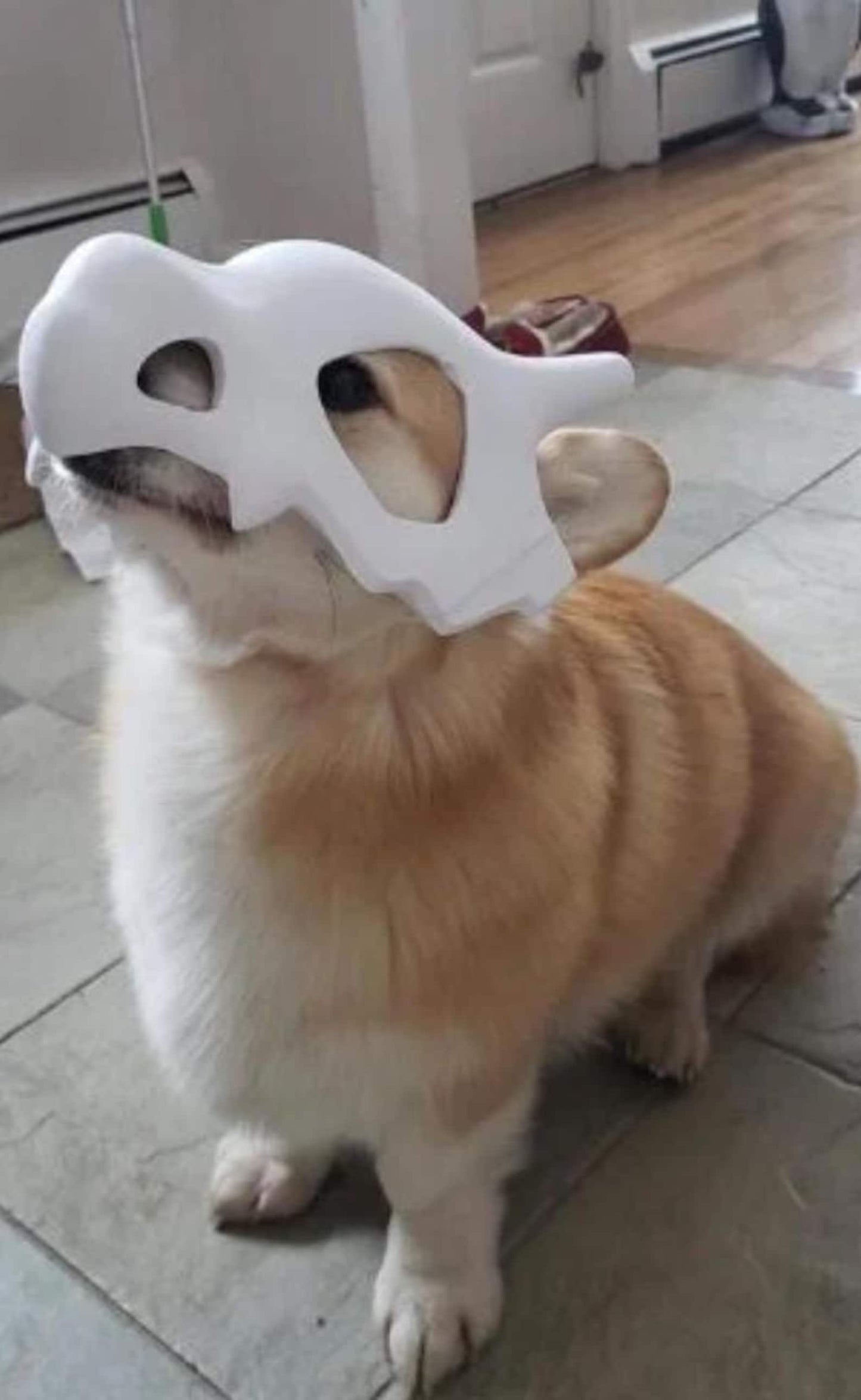 Cubone Dog Mask | Dinosaur Mask