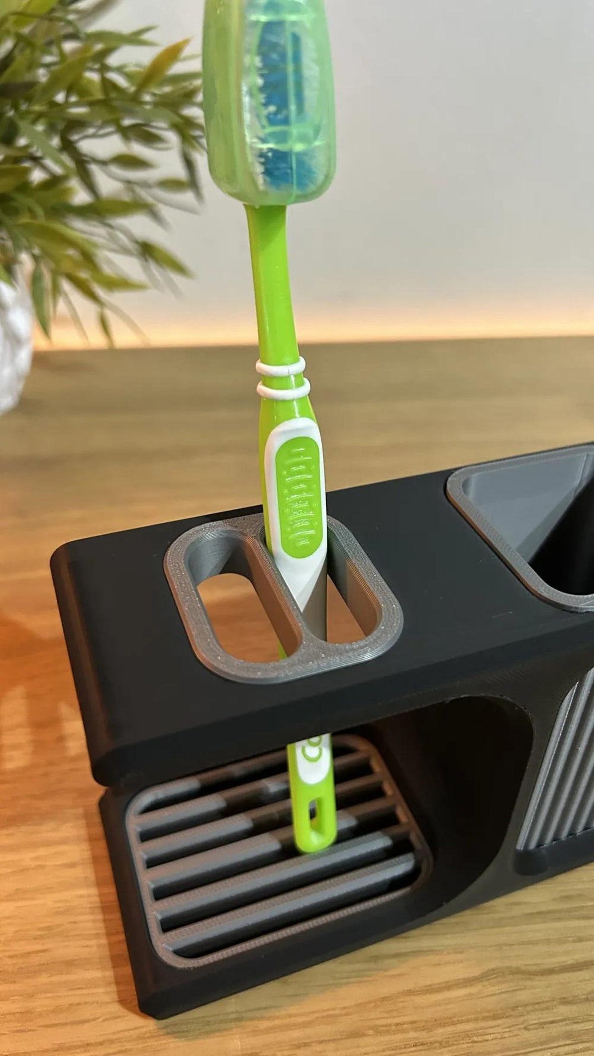 Toothbrush holder with removable drain tray