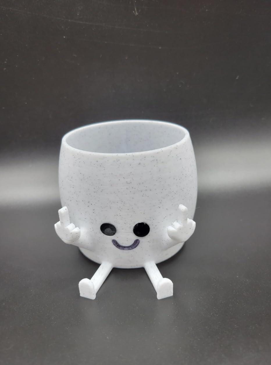 Funny Middle Finger Plant Pot - Rude Succulent Planter