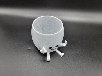 Funny Middle Finger Plant Pot - Rude Succulent Planter
