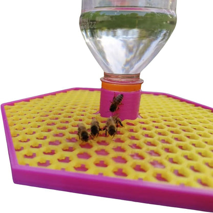 Bee Feeder - Plastic Water Bottle Tray
