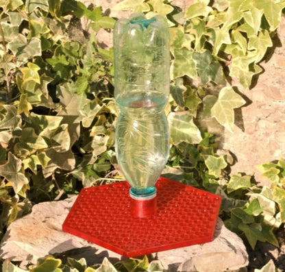 Bee Feeder - Plastic Water Bottle Tray